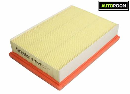 Фильтр воздушный FILTRON AP109/9