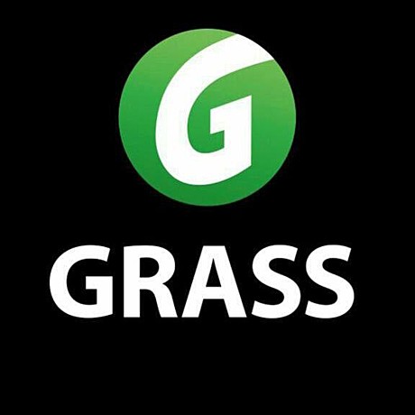 GRASS70